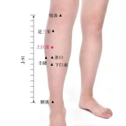 -Ͼ