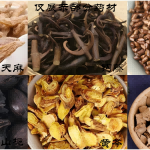-鹳