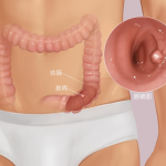 -᳦Ϣ