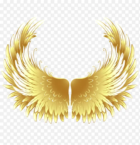 �����ɫ���-������