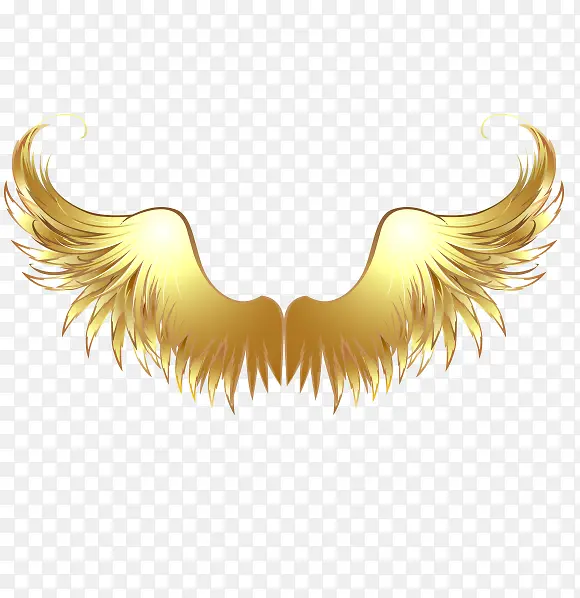 �����ɫ���-������