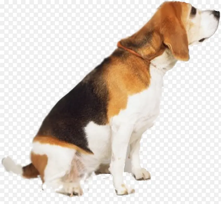 ������Ӱ������Ϣ��С��-������