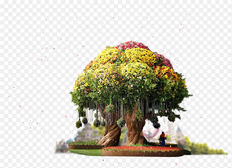 ͯ��ɭ�� ��ͨ����-������