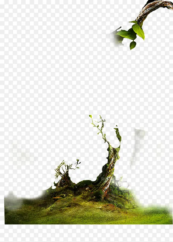 ���� ��֦-������