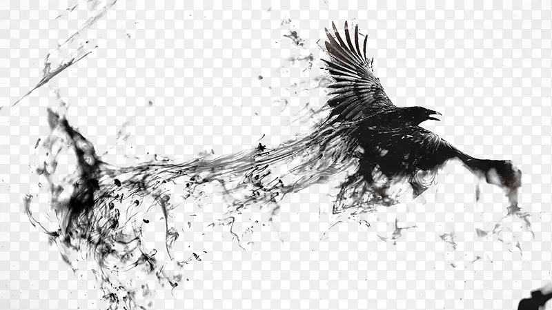 ��ӥչ��-������