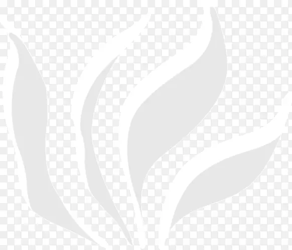 ��ɫ��ˮ��-������