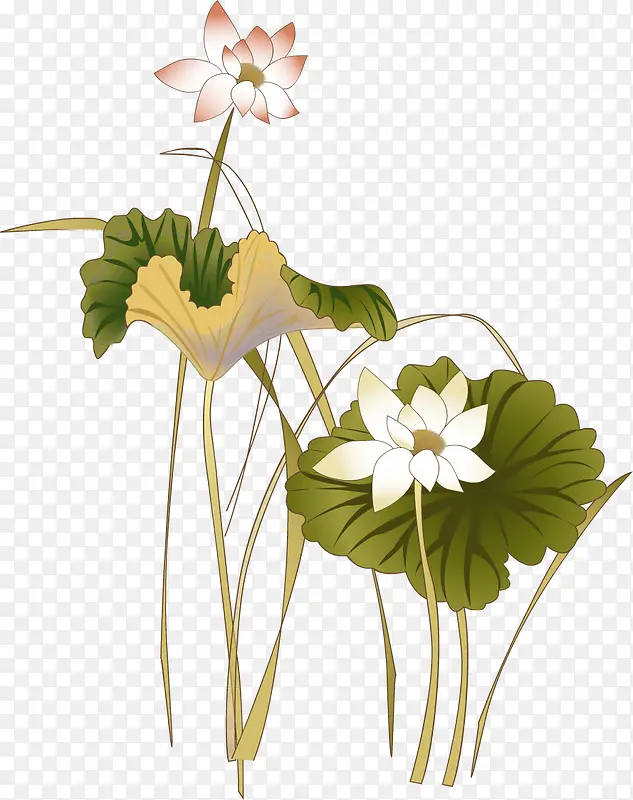 ˮ�ݰ�ɫ�ɻ�-������