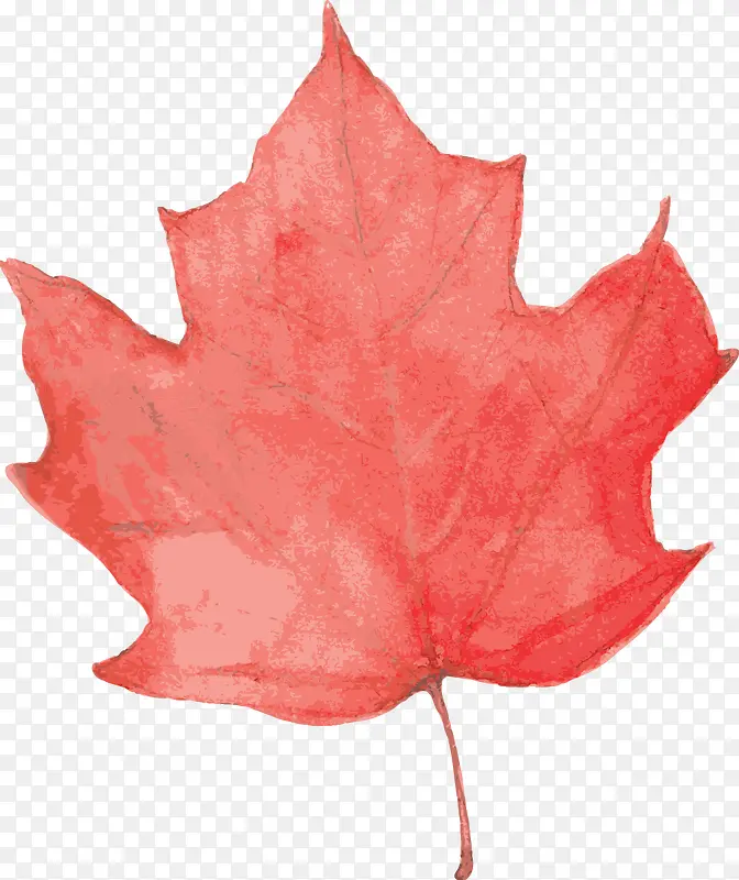 ˮ��ʸ����ɫ��Ҷ-������