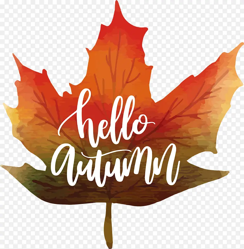 ˮ�ʷ�Ҷ�������-������