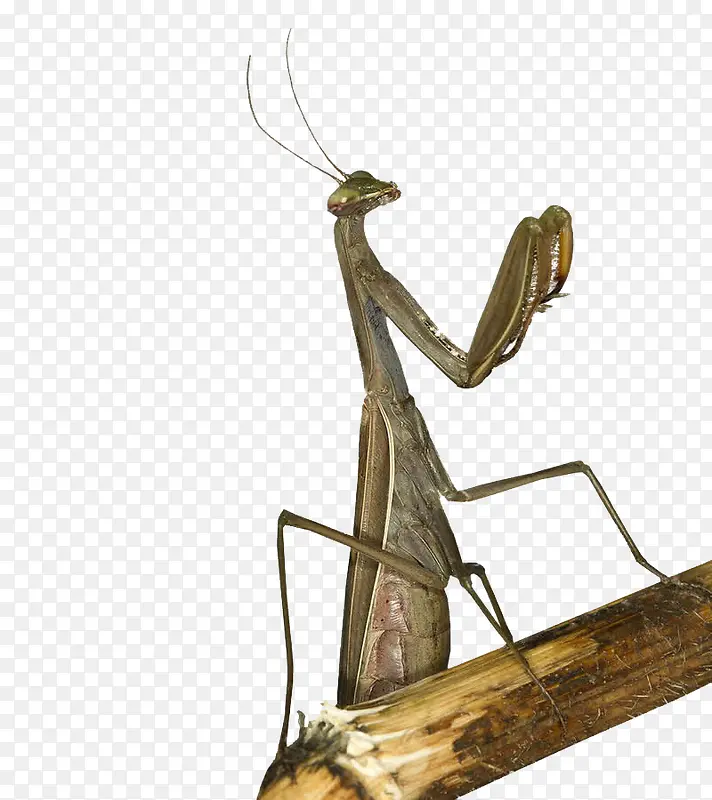 ���-������