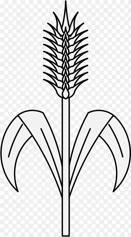 ֲ�ﾥҶ�ݳ���-������