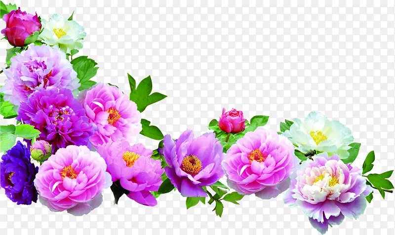 ��������ɫ����-������