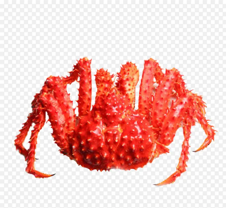 ��ζ���з-������