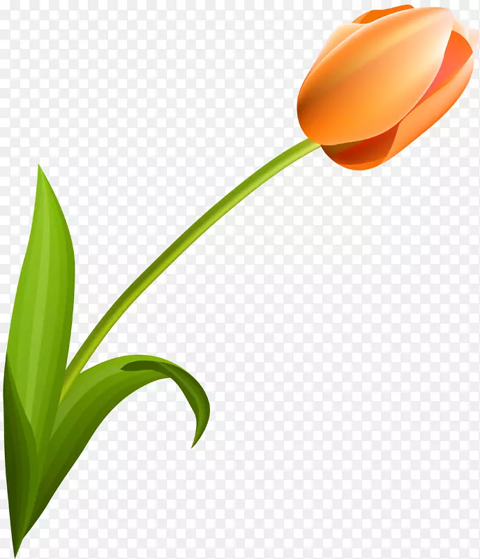 ����ֲ��������ٺϿ�������-������