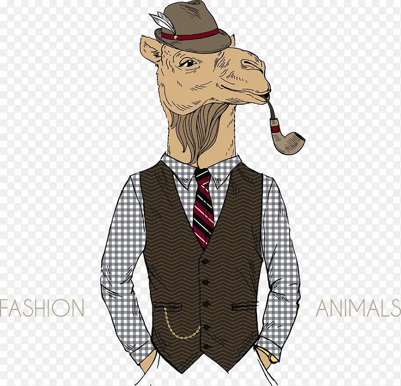 ��ʿ�Ķ���-������