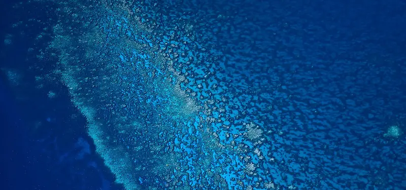 ��ɫ���챳��-������