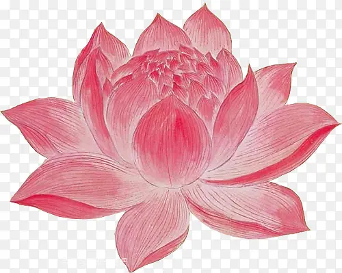 ˮ�ʺ컨�ɻ�ĵ����-������