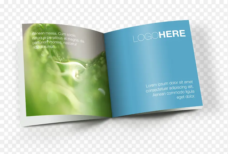 ������־�ز�-������