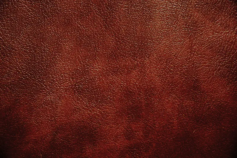 ��ɫƤ�ﱳ��-������