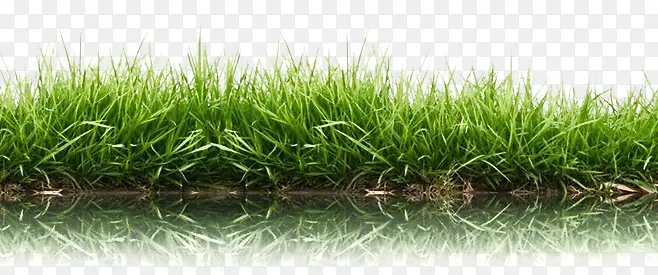 С��-������