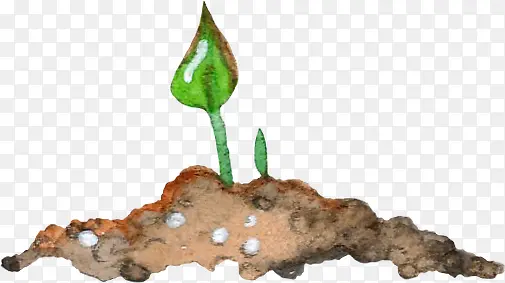 ����С��-������