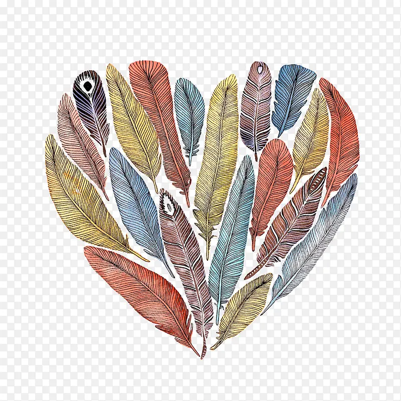 ���Ų�ɫ������ë-������