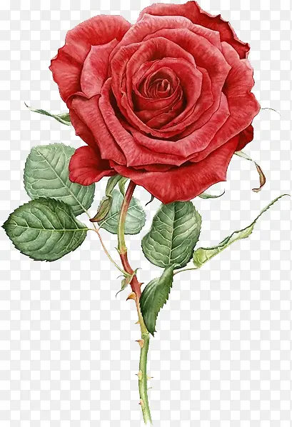 ˮ��õ��չ���ز�-������