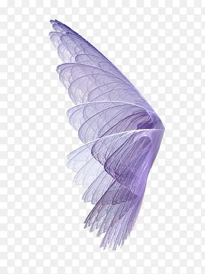 Ψ���������-������