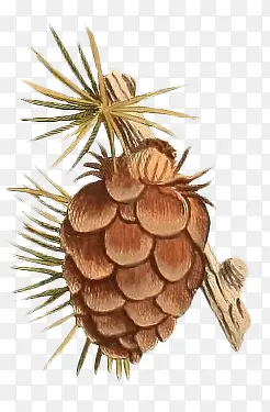 �����廭-������