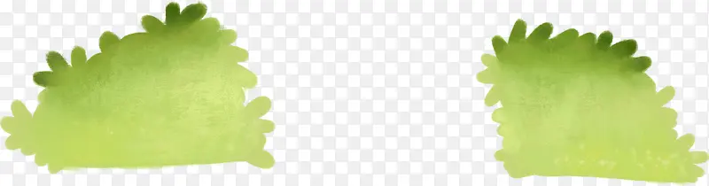 �ֻ�ˮ����ɫֲ����ҳ-������