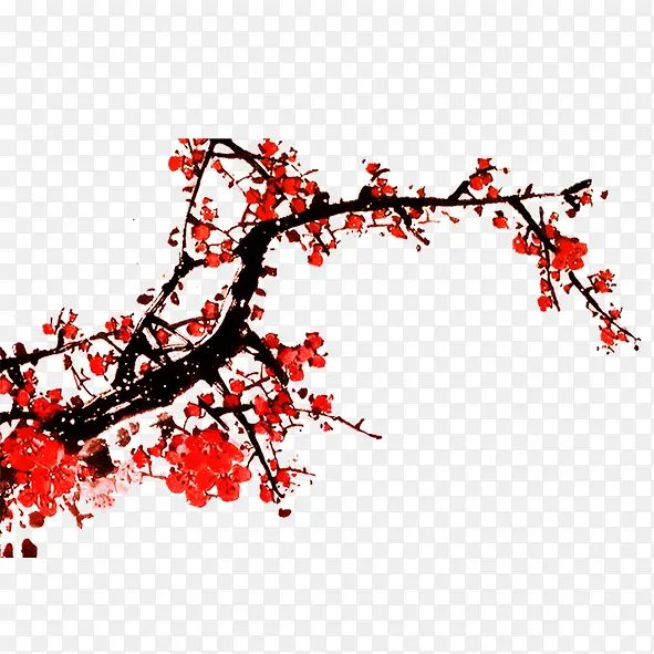 ��ɫ÷��-������