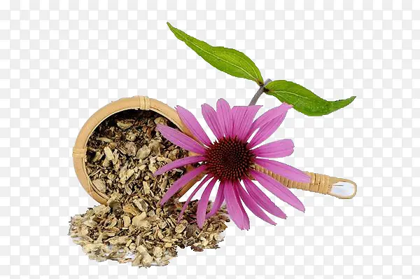 ���崴����Ӱ��ɫ�Ļ�����׶��-������