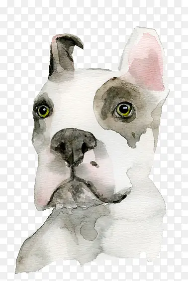 �ֻ�ɰ���-������