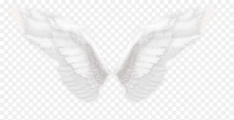 ��ʹ�ĳ��-������