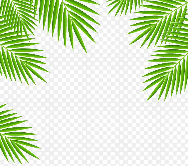 ��Ҷ-������