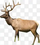 �ɰ�������¹����-������