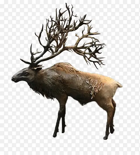 ���÷��¹�ز�-������