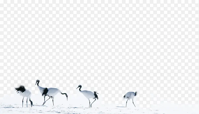 ������Ӱ����ϳ�Ч���ɺ�-������