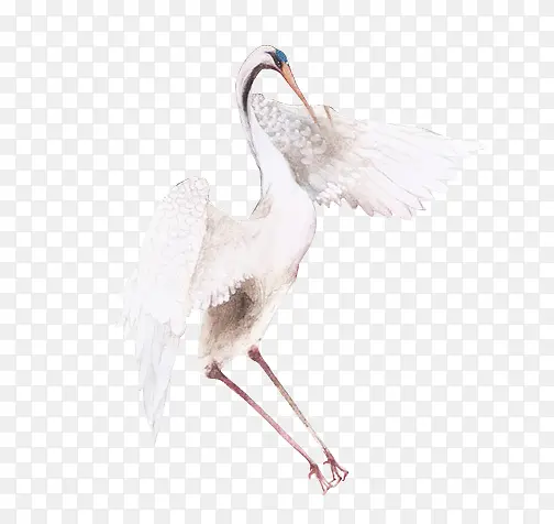 �����ɫ�ɺ׶���-������