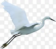 ��ɫ�����ɺ�װ��-������