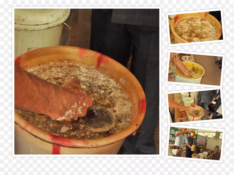 ����ԴʳƷ����ʳ����ʳ��ũ����-������