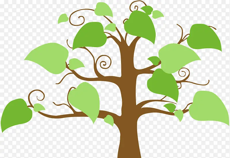 ����Ҷ����-������