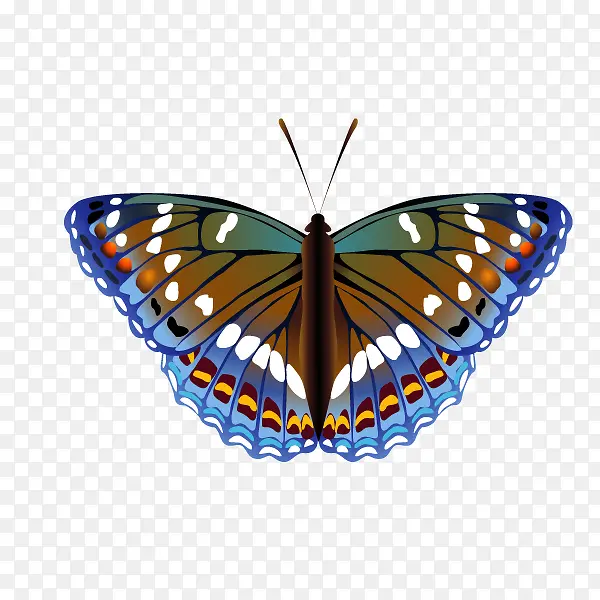 �ֻ��λ��������-������