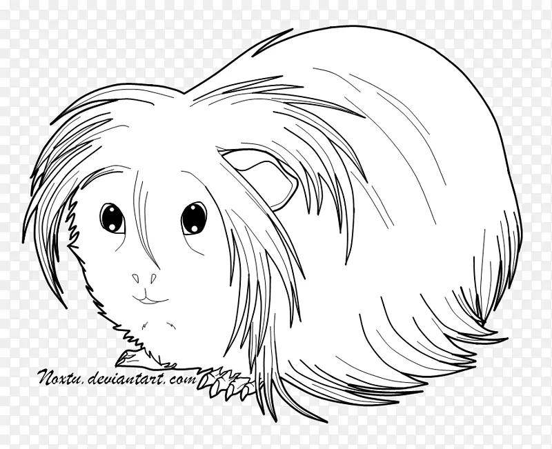 �滭��ȫ������ɫ��Ӱ-����-������