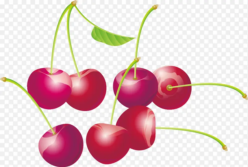 ����ˮ��ӣ��-������