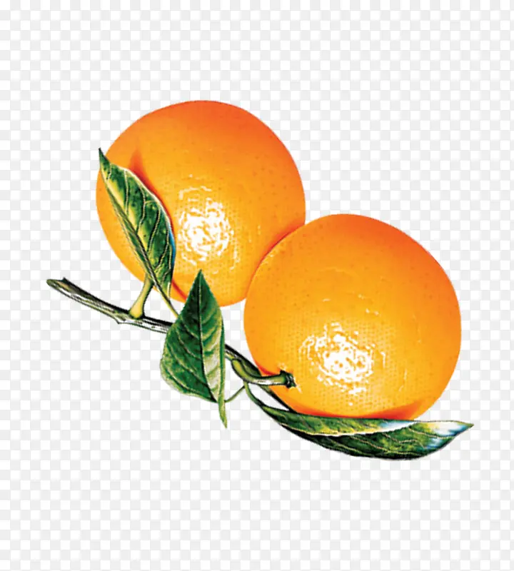 ����-������