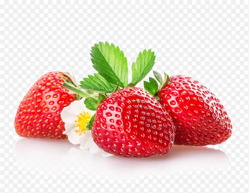 ��ݮ-������