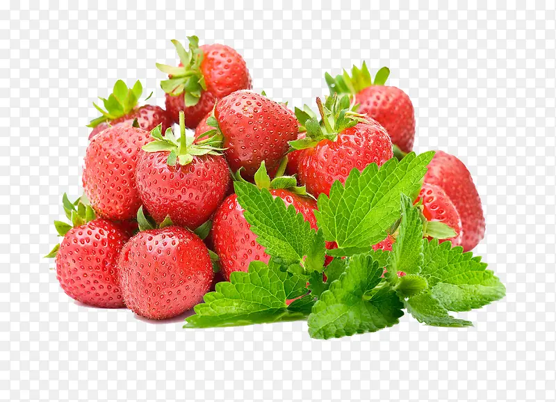 ��ݮˮ��Ҷ��-������