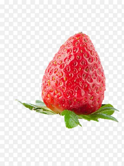 ��ݮ-������