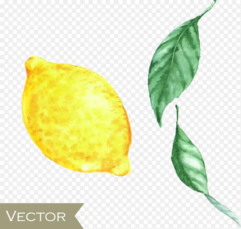 �ֻ�����-������